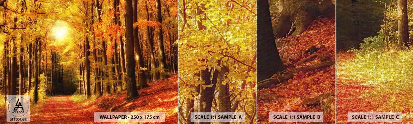 Prøve Fototapet Premium Canvas - Gyldent efterår på en skovvej - Efterår, Skov, Landskab - 100x30 cm