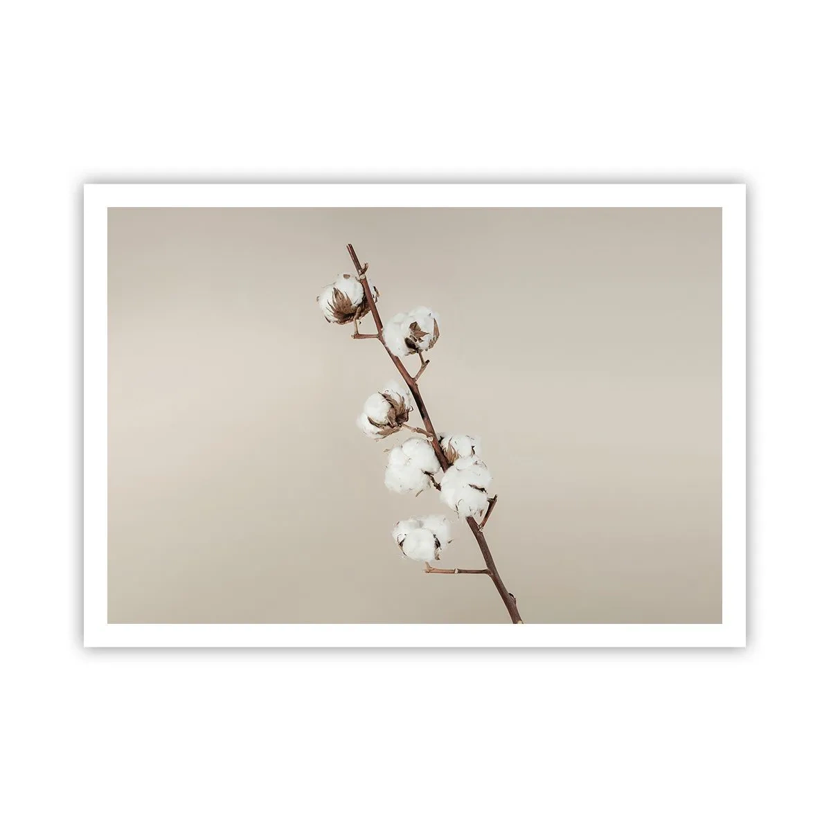 Plakat - Ved kilden til blødhed - 100x70 cm