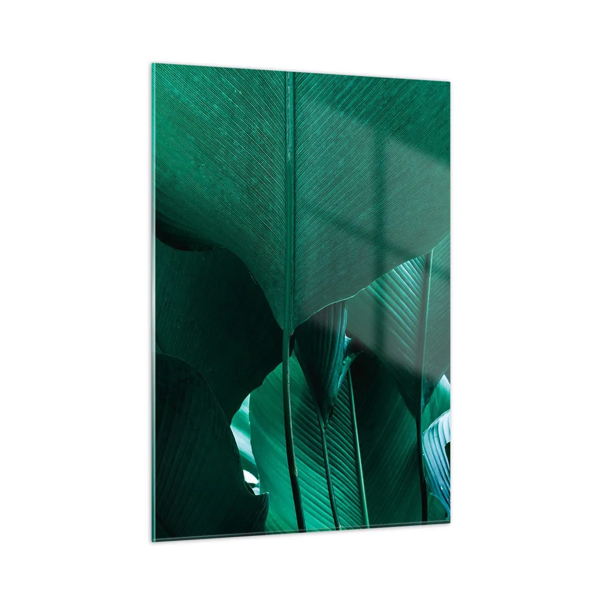 Billede på glas - Mod lyset - 50x70 cm