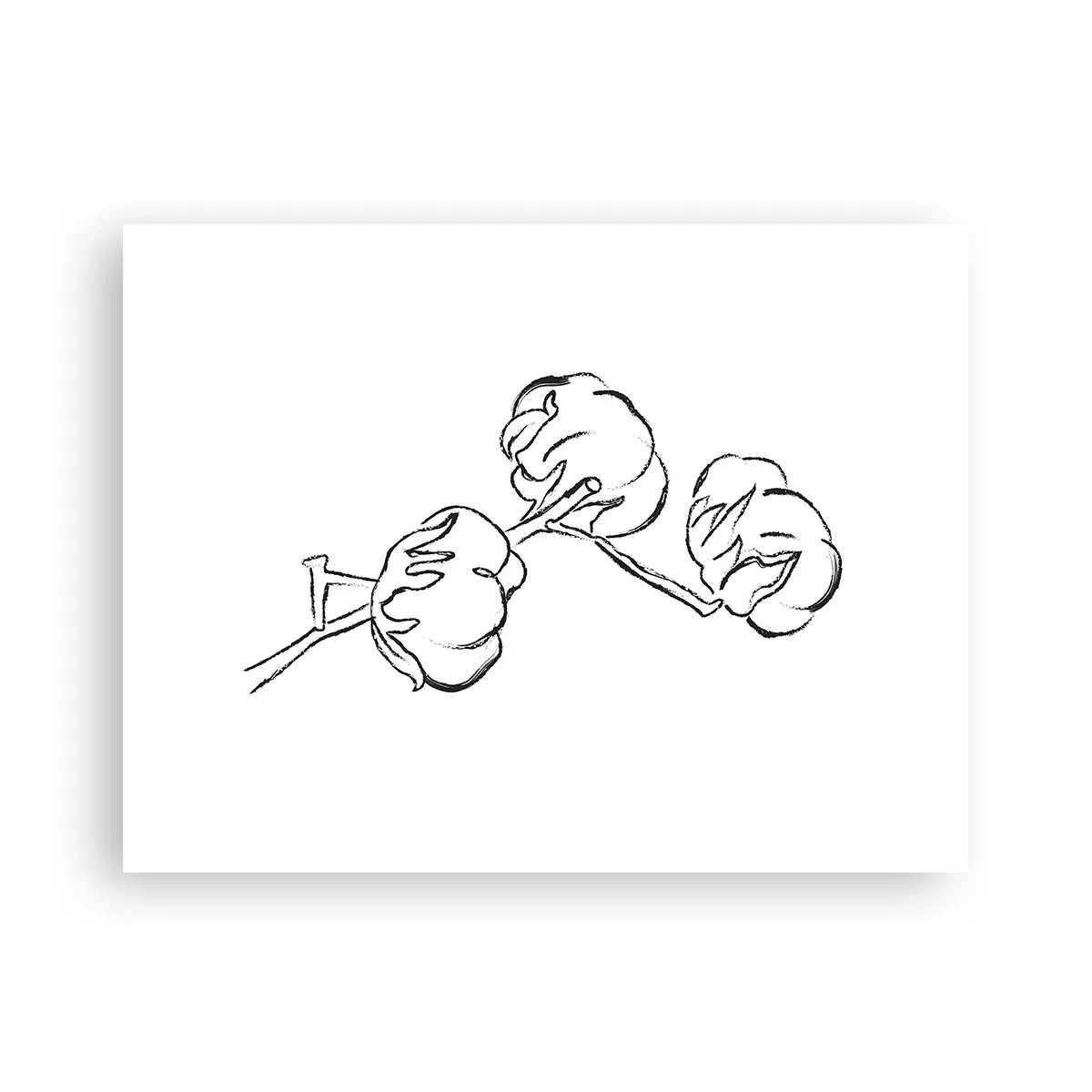 Plakat - Bomuld ned - 40x30 cm