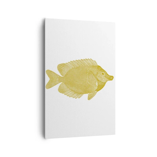 Lærredstryk - Billede på lærred - Fisk og det er det - 80x120 cm