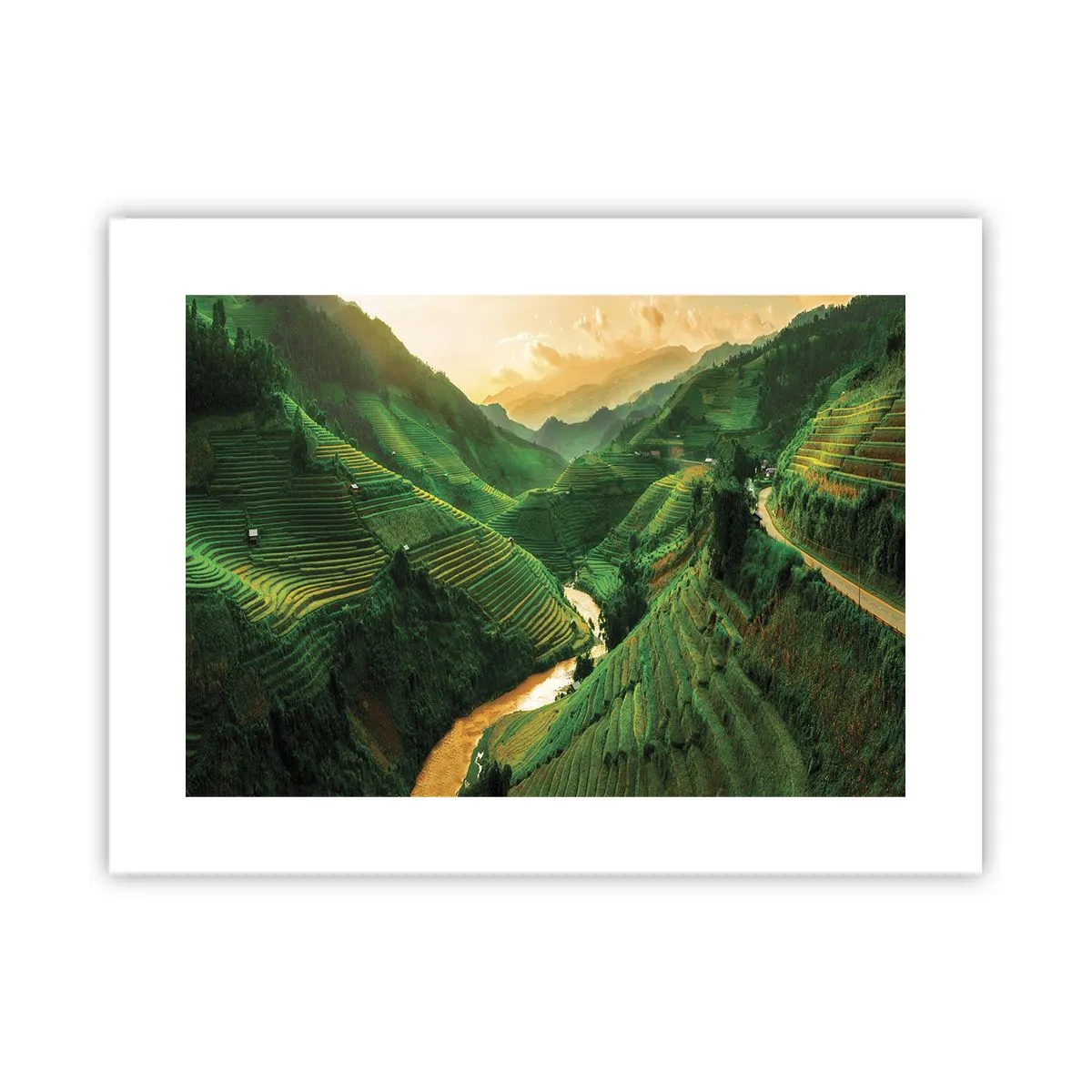 Plakat - Vietnamesisk dal - 40x30 cm