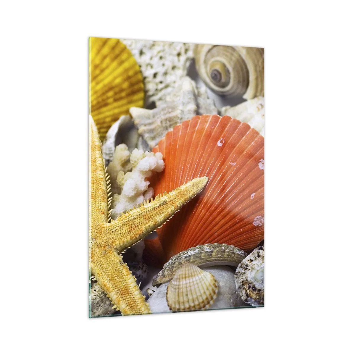 Billede på glas - Havets skatte - 50x70 cm