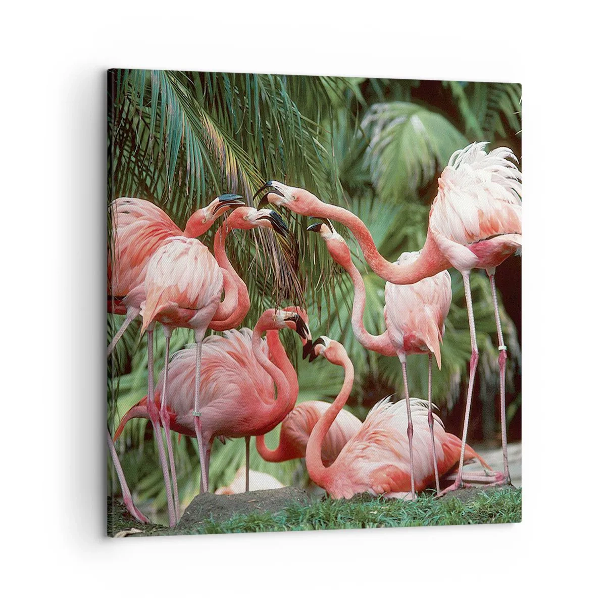 Lærredstryk - Billede på lærred - Sladder om eftermiddagen - 50x50 cm