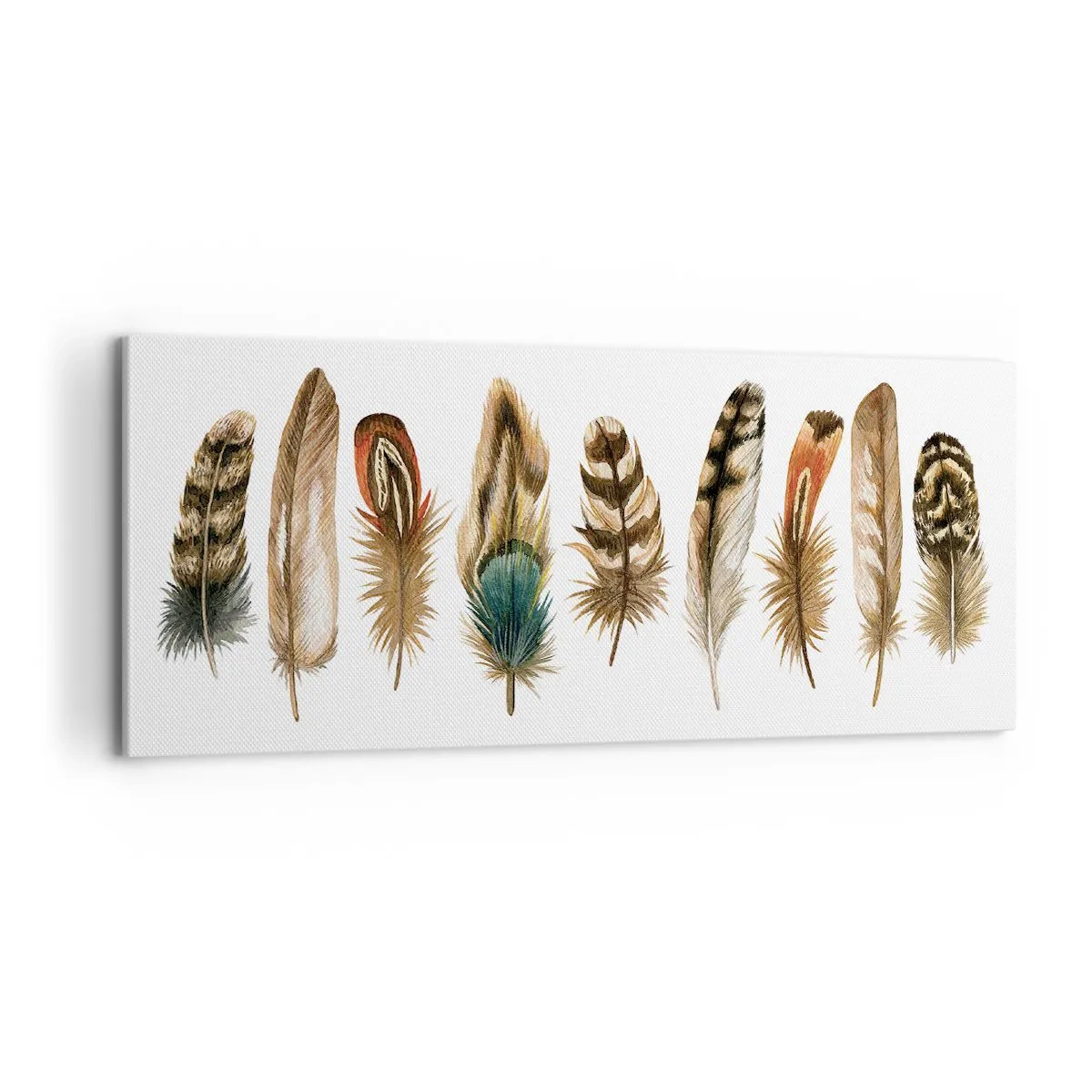 Lærredstryk - Billede på lærred - Variation med fjer - 100x40 cm