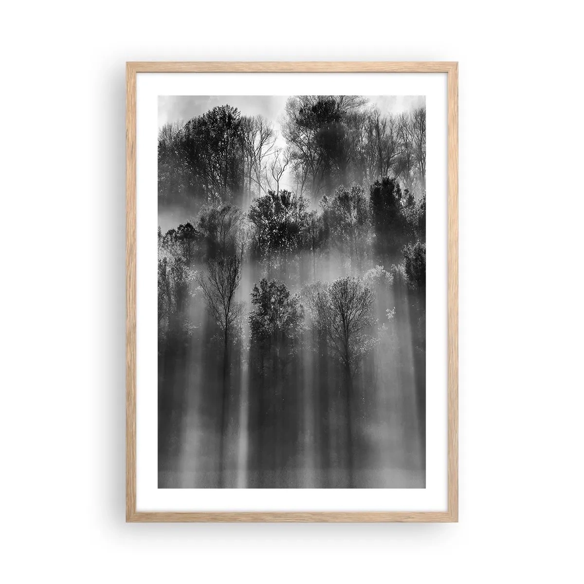 Plakat i ramme af lyst egetræ - I stråler af lys - 50x70 cm