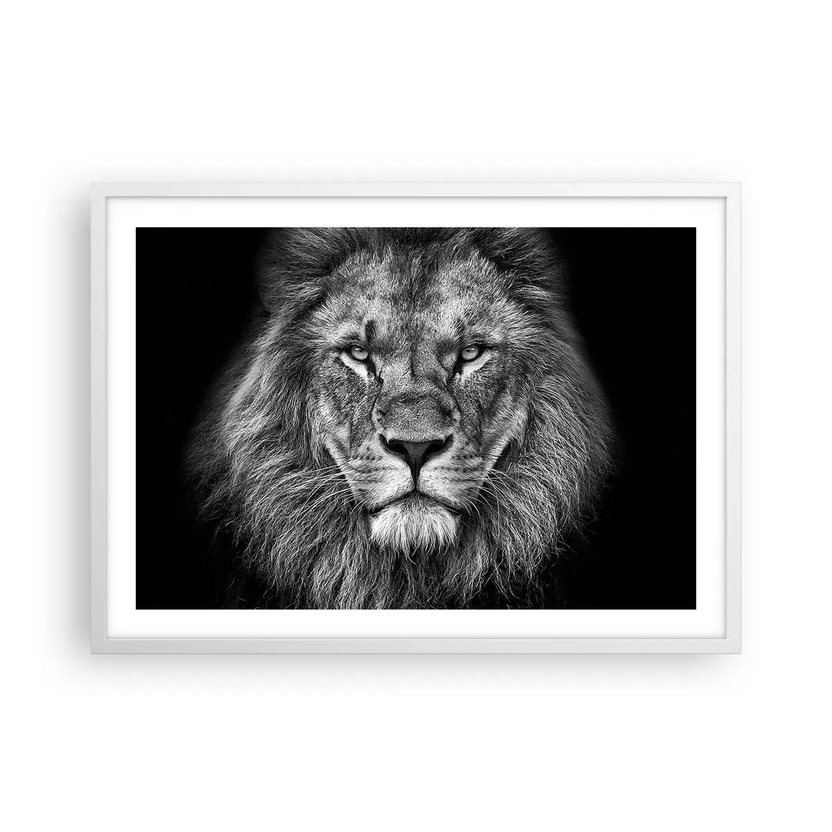 Plakat i hvid ramme - I kroningsklædning - 70x50 cm