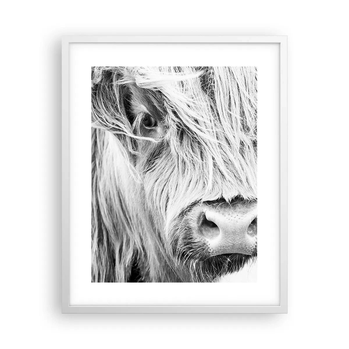 Plakat i hvid ramme - Skotsk vildmark - 40x50 cm