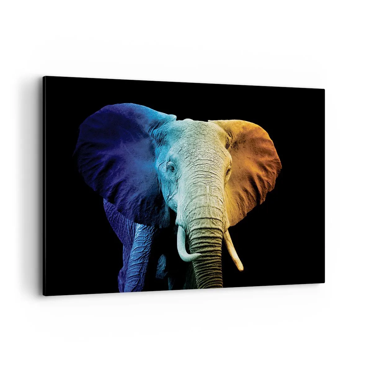 Lærredstryk - Billede på lærred - Excentrisk, ikke underlig - 100x70 cm