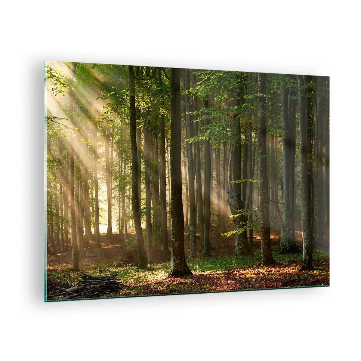 Billede på glas - Solstråler skinner gennem træerne i skoven - 70x50cm - Strålende på en forårsmorgen - Moderne vægdekoration til stue og soveværelse ARTTOR