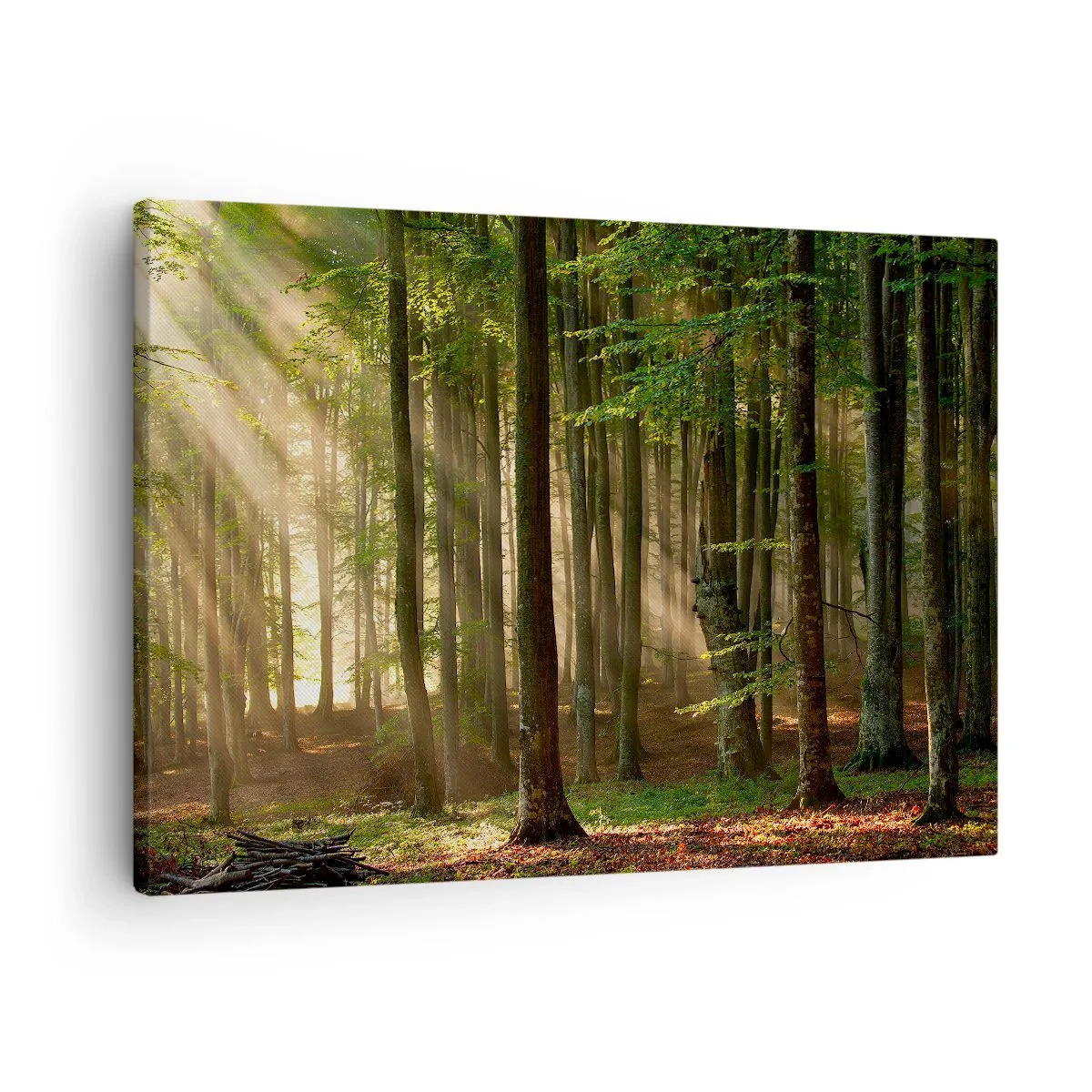 Lærredstryk - Billede på lærred - Solstråler trænger ind gennem træerne i skoven - 70x50cm - Strålende på en forårsmorgen - Moderne vægdekoration til stue og soveværelse ARTTOR