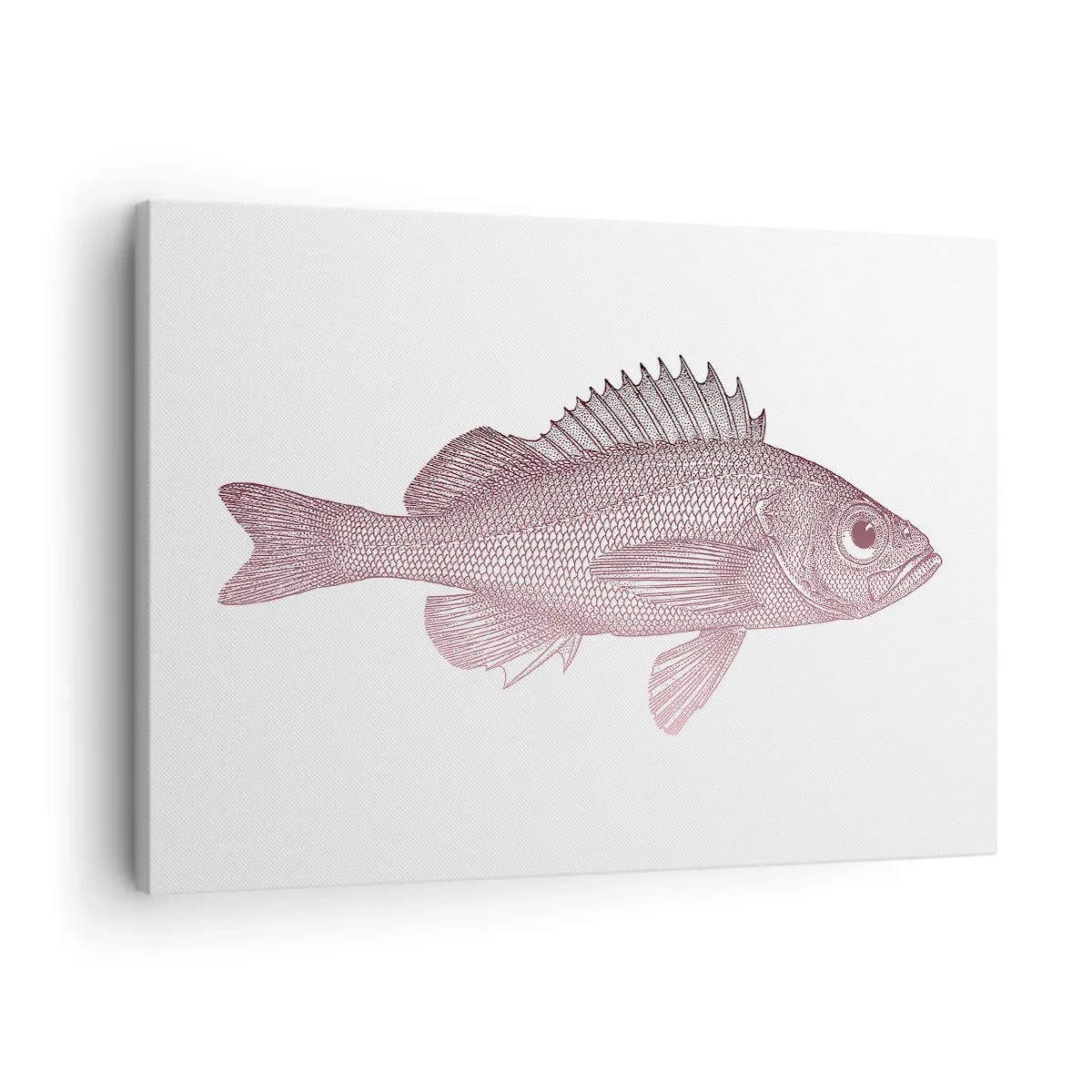 Lærredstryk - Billede på lærred - Detaljeret illustration af en fisk på en hvid baggrund - 70x50cm - Fisk med store øjne - Moderne vægdekoration til stue og soveværelse ARTTOR