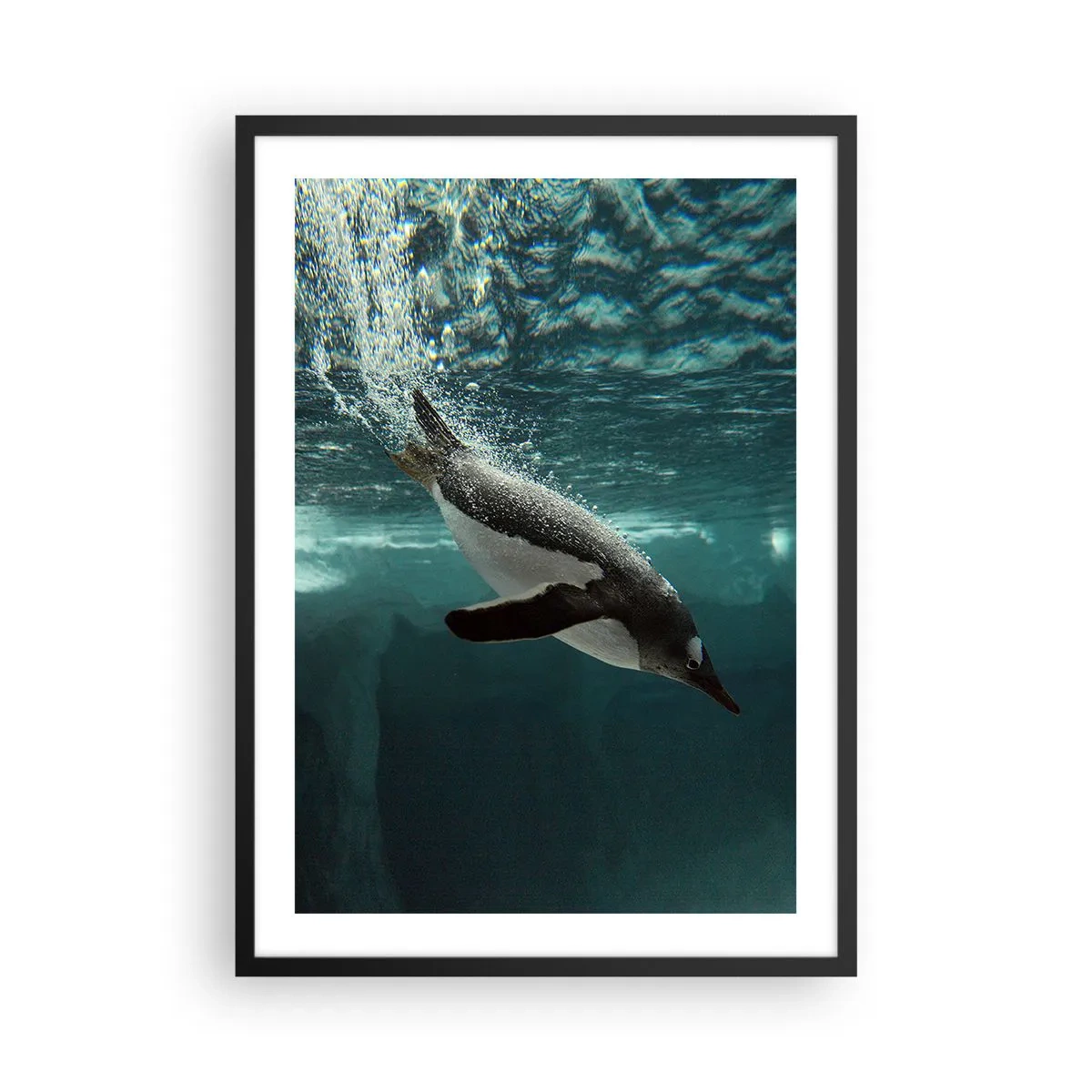Plakat i sort ramme - En pingvin, der svømmer under vandet - 50x70cm - Velkommen til min verden - Moderne vægdekoration til stue og soveværelse ARTTOR
