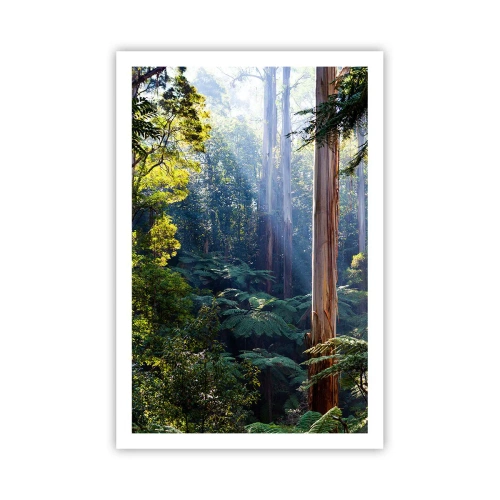 Plakat - En fortælling om skoven - 61x91 cm