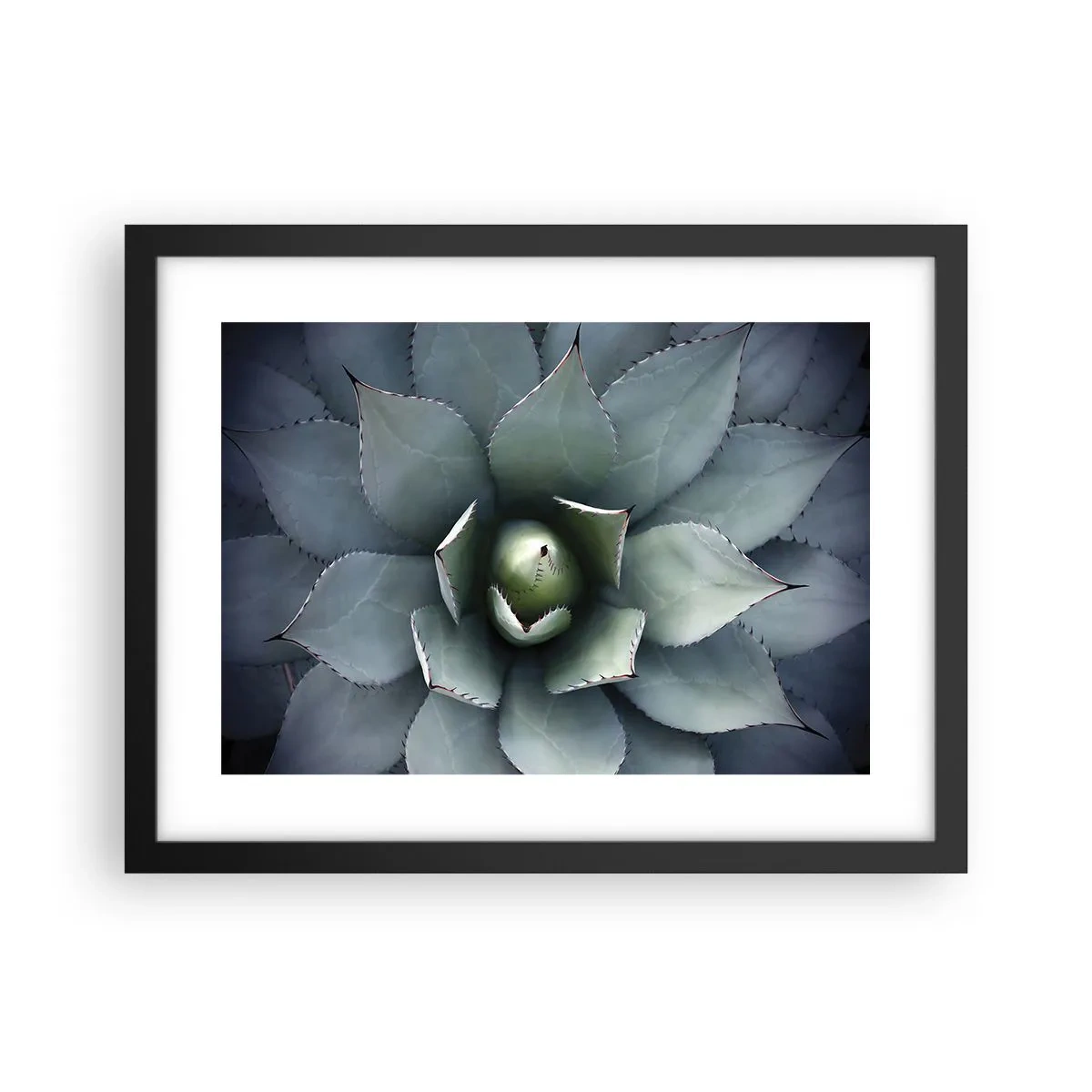 Plakat i sort ramme - Lokkemad og advarsler - 40x30 cm