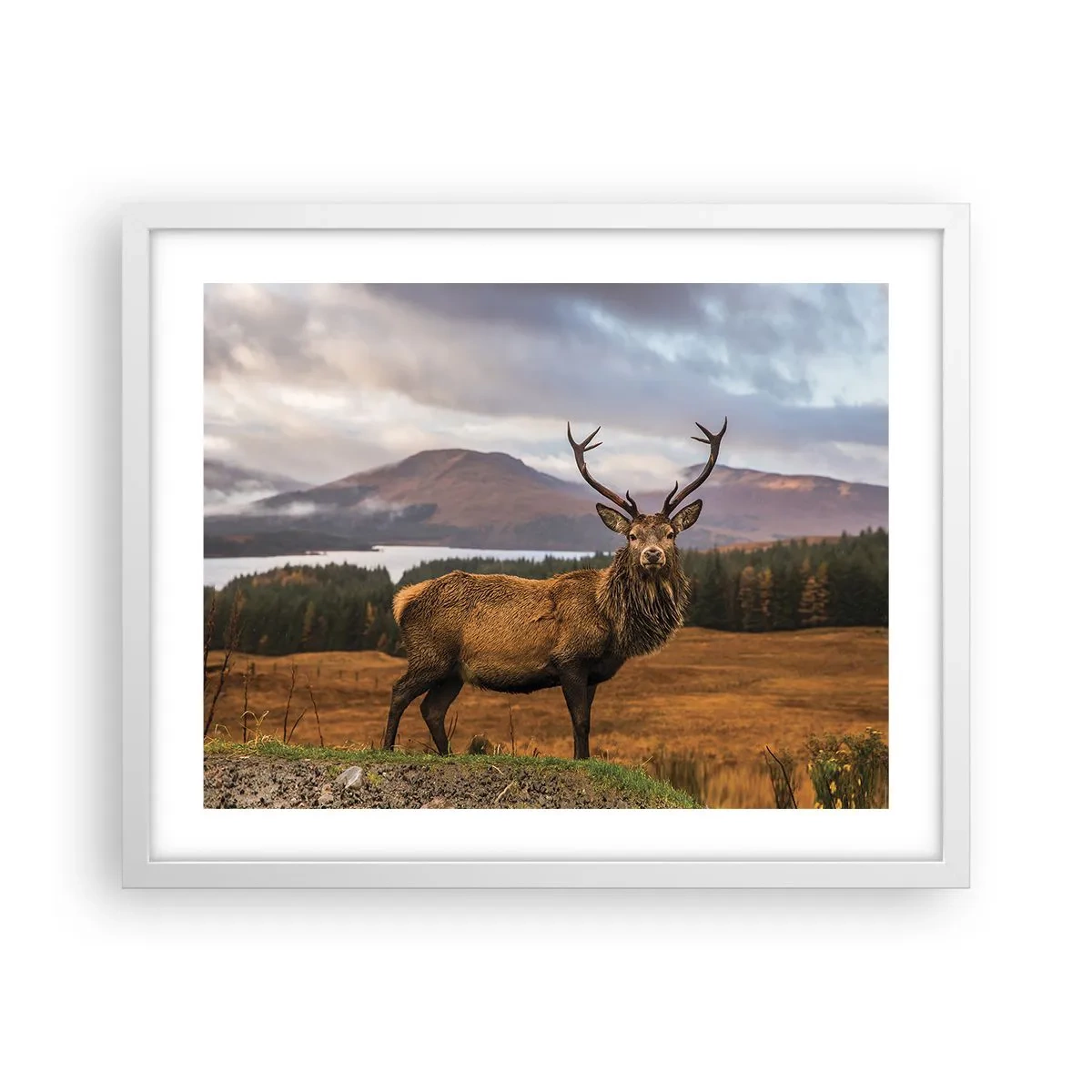 Plakat i hvid ramme - Naturens majestæt - 50x40 cm