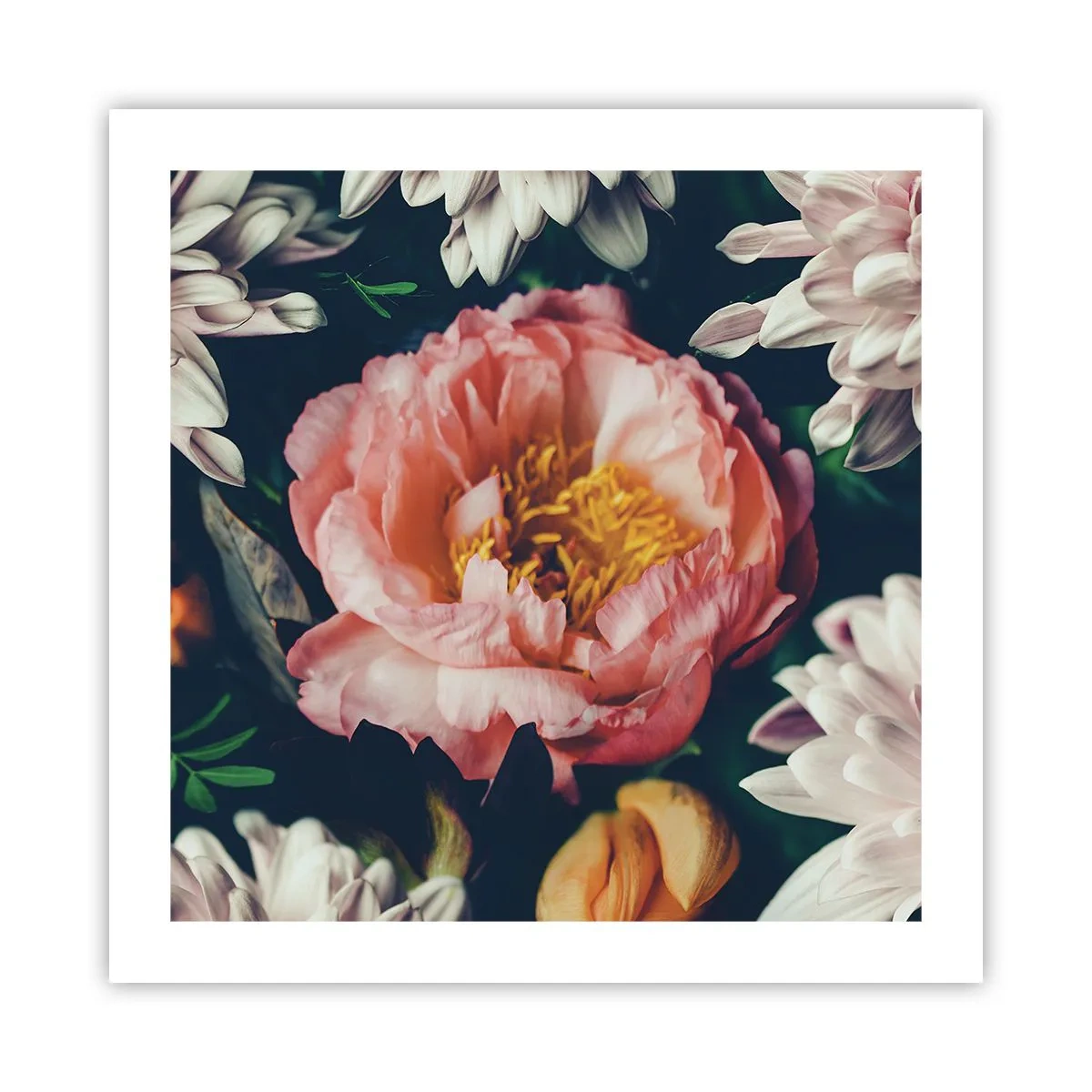 Plakat - Med barok pragt - 50x50 cm