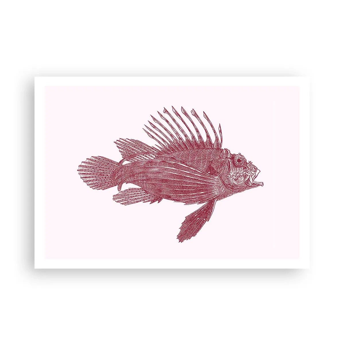 Plakat - En beboer i eksotiske farvande - 100x70 cm