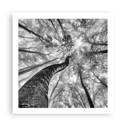 Plakat - Kapløb mod lyset - 60x60 cm