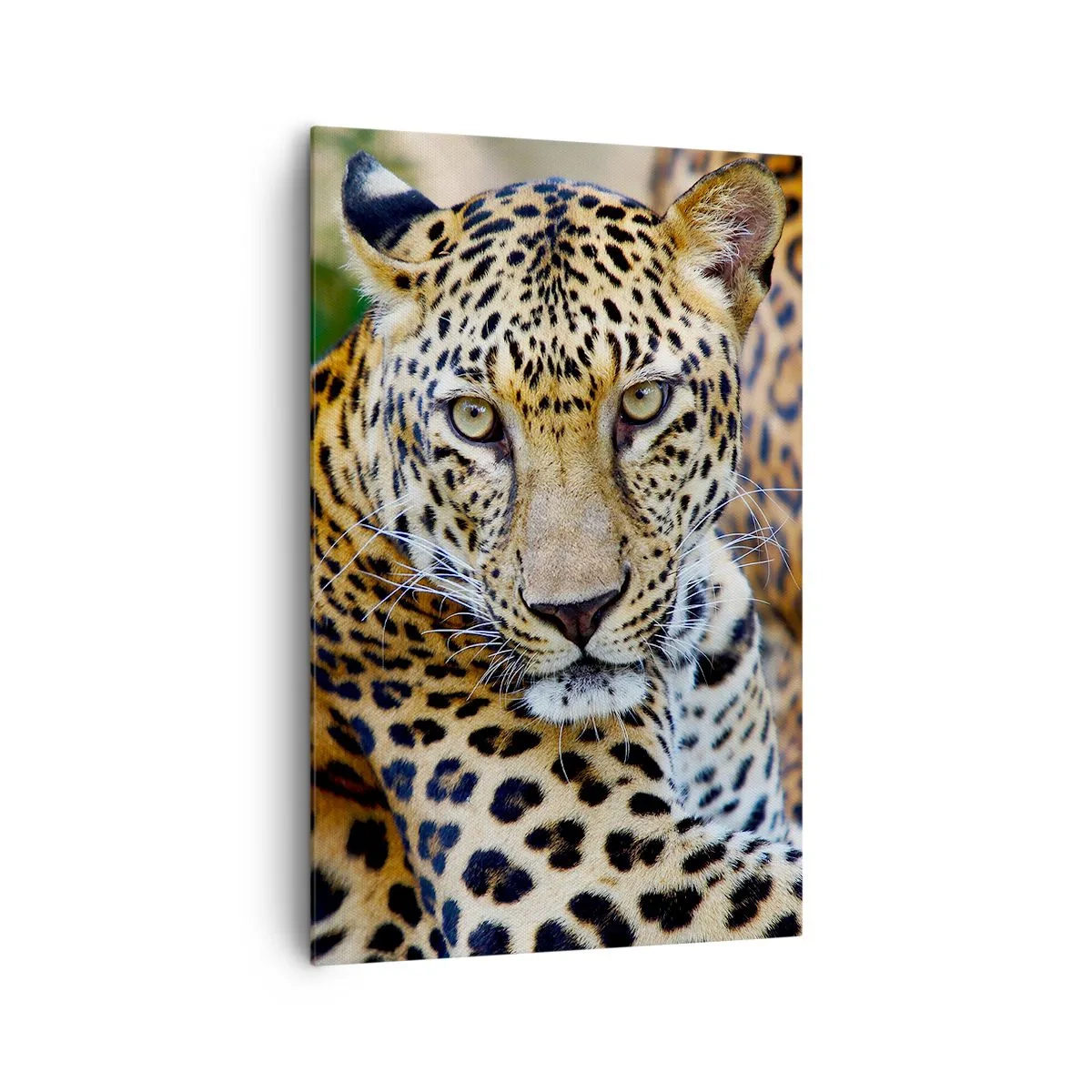 Lærredstryk - Billede på lærred - Vild og rolig - 80x120 cm