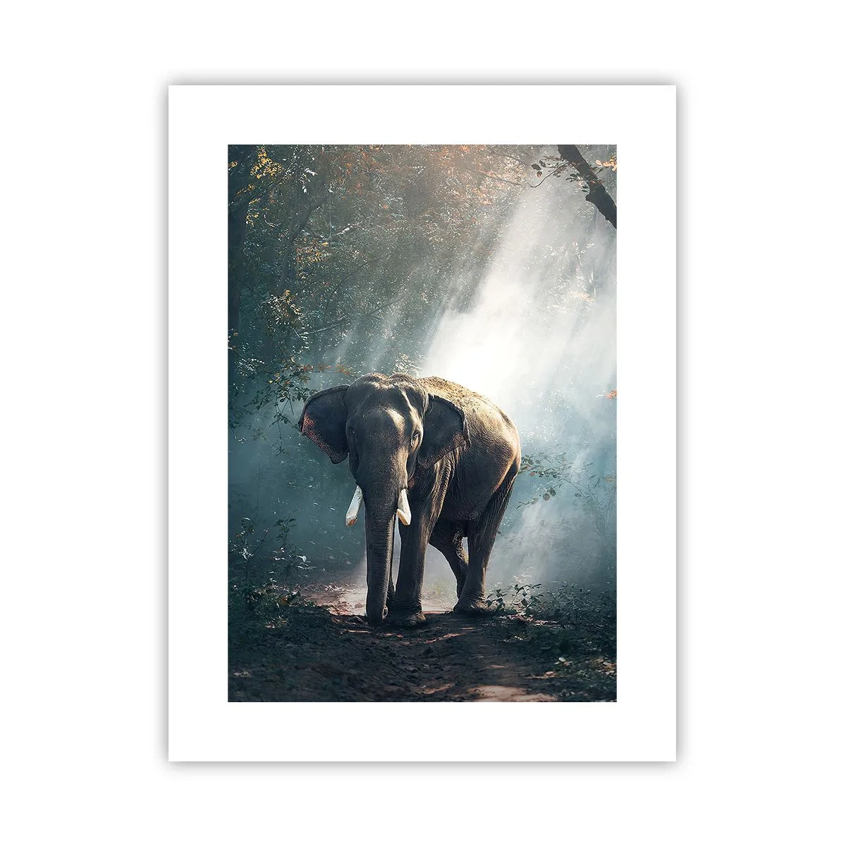 Plakat - En fredelig gåtur - 30x40 cm