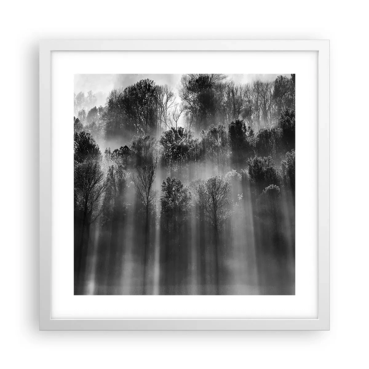 Plakat i hvid ramme - I stråler af lys - 40x40 cm