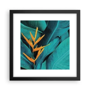 Plakat i sort ramme - Edens blomst - 30x30 cm