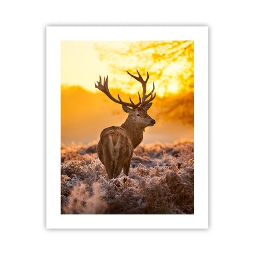 Plakat - Kongen af efterårsskoven - 40x50 cm