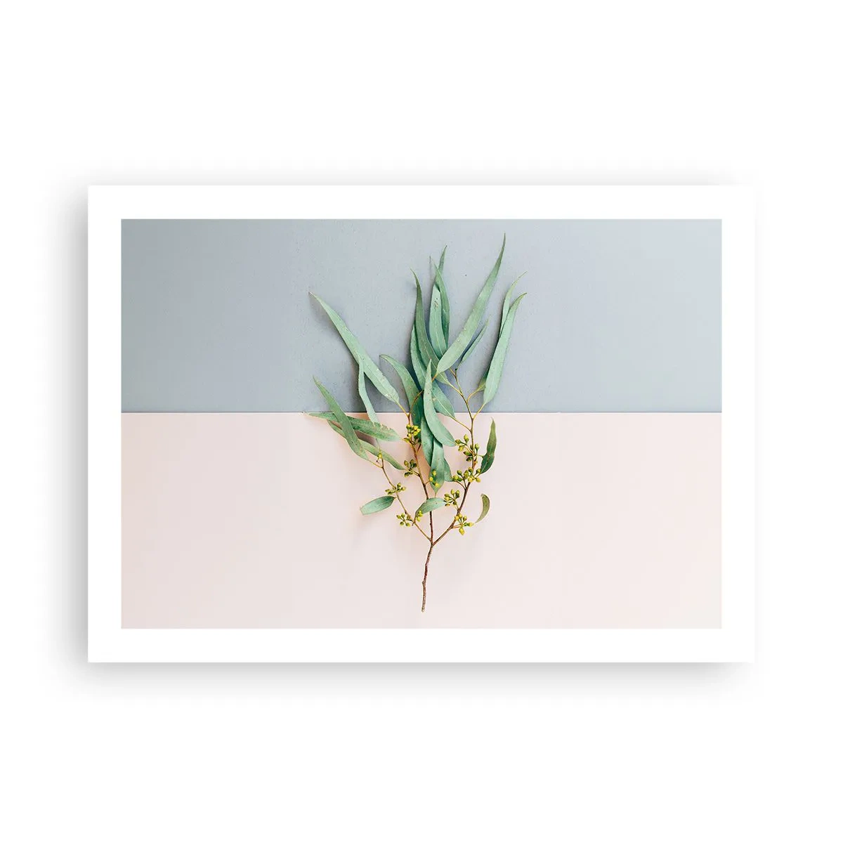 Plakat - Pastelfarvernes subtilitet - 70x50 cm