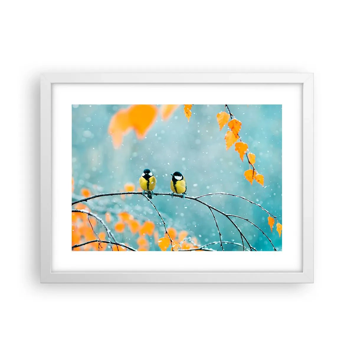Plakat i hvid ramme - Sladder om fugle - 40x30 cm