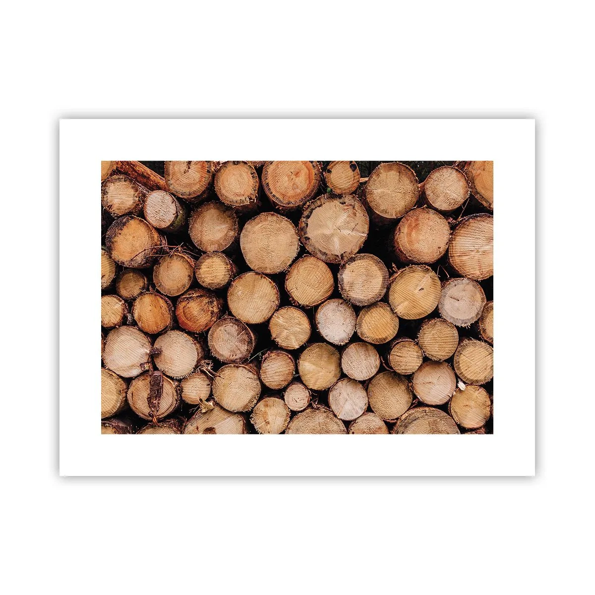 Plakat - En ny begyndelse - 40x30 cm