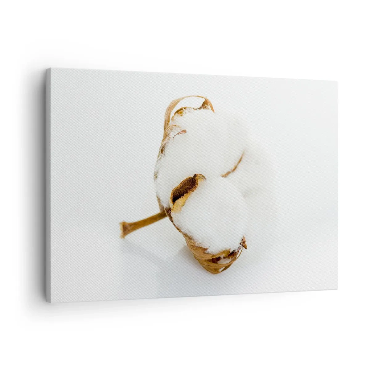 Lærredstryk - Billede på lærred - Blød af natur - 70x50 cm