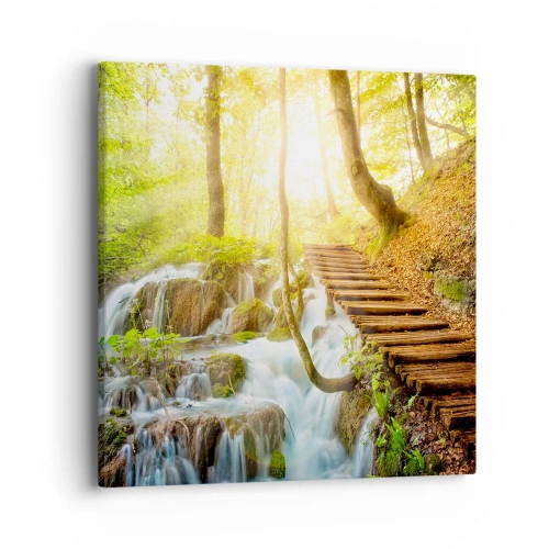 Lærredstryk - Billede på lærred - Den ønskede kølighed - 40x40 cm