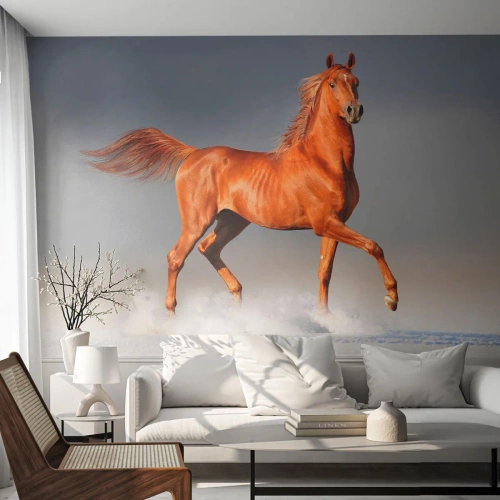 Fototapet Premium Canvas - Dansende ynde - Dyr, Hest, Natur - 350x256 cm