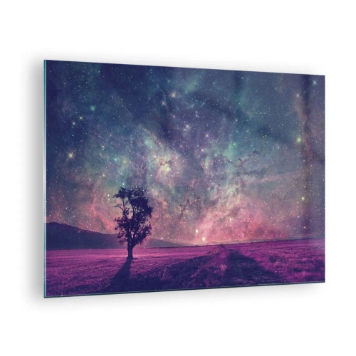 Billede på glas - Et træ mod en stjerneklar himmel og galakse som baggrund - 70x50cm - Under en magisk himmel - Moderne vægdekoration til stue og soveværelse ARTTOR