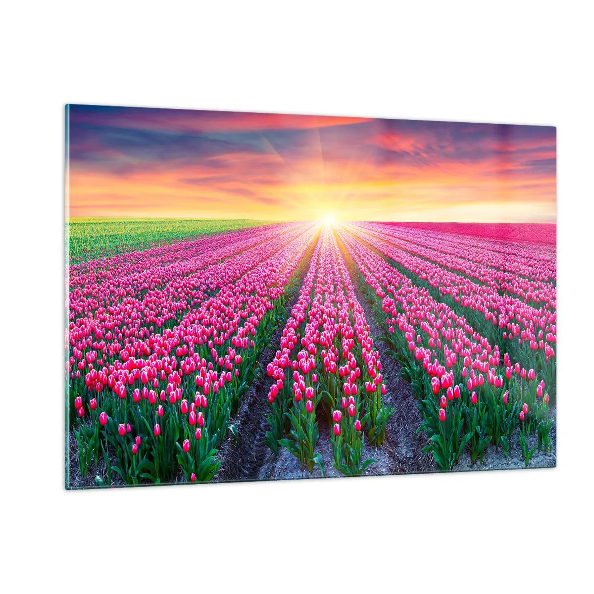 Billede på glas - Skønhedsfarm - 120x80 cm