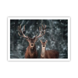 Plakat - Skovens herre og hans kone - 100x70 cm