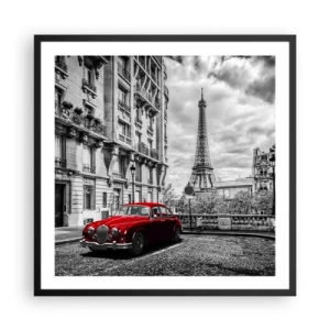 Plakat i sort ramme - Rovdyr i byen - 60x60 cm