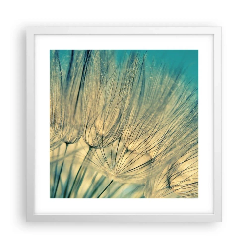 Plakat i hvid ramme - Venter på vinden - 40x40 cm