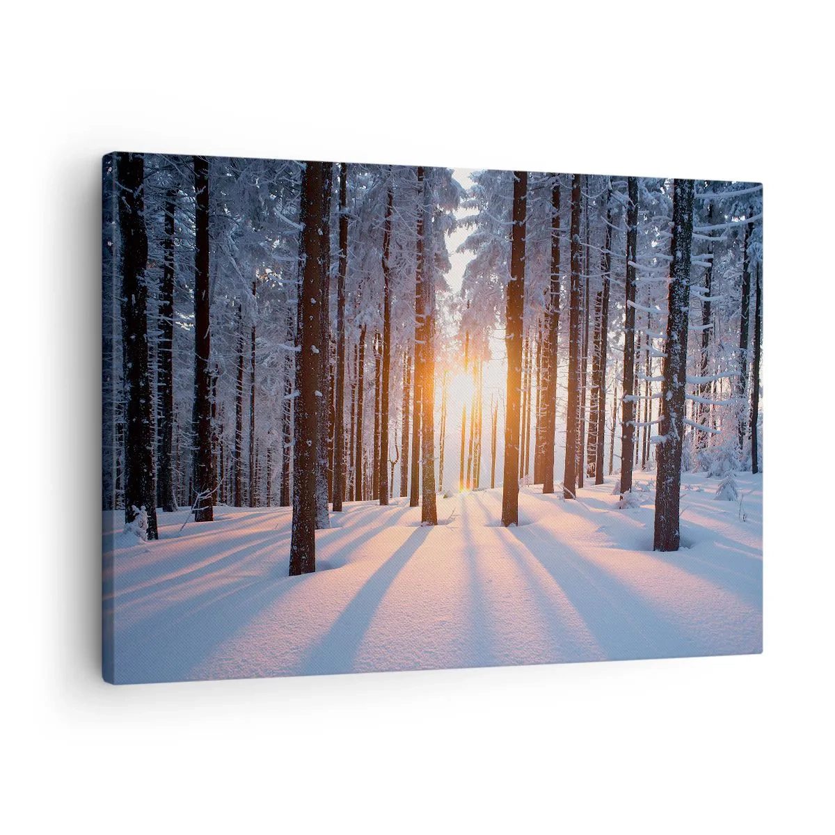 Lærredstryk - Billede på lærred - Vinterskov oplyst af solens stråler - 70x50cm - Klart i sort og hvidt - Moderne vægdekoration til stue og soveværelse ARTTOR