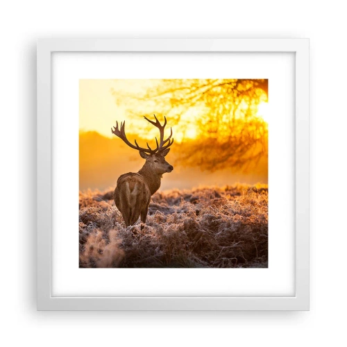 Plakat i hvid ramme - Kongen af efterårsskoven - 30x30 cm