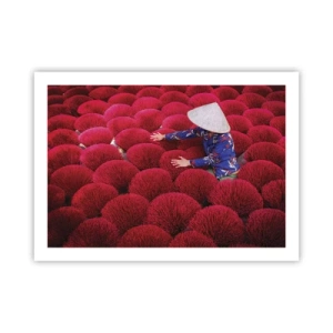 Plakat - I en rismark - 70x50 cm