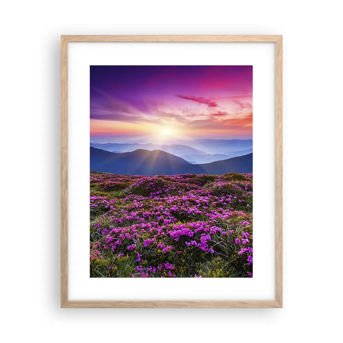 Plakat i ramme af lyst egetræ - Urter duftede friske bundter fra niw - 40x50 cm