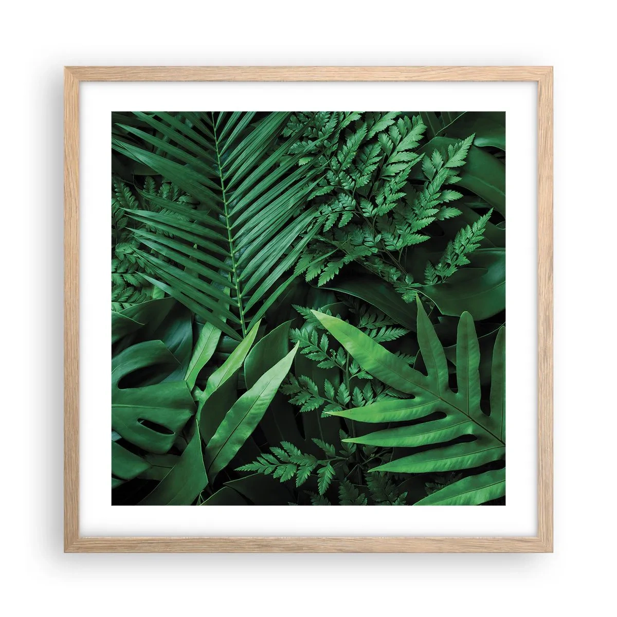Plakat i ramme af lyst egetræ - Kranset i grønt - 50x50 cm
