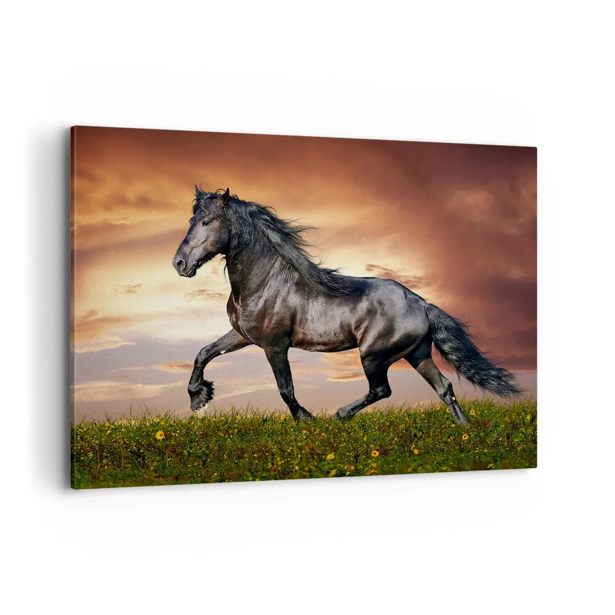 Lærredstryk - Billede på lærred - Sort prins - 100x70 cm