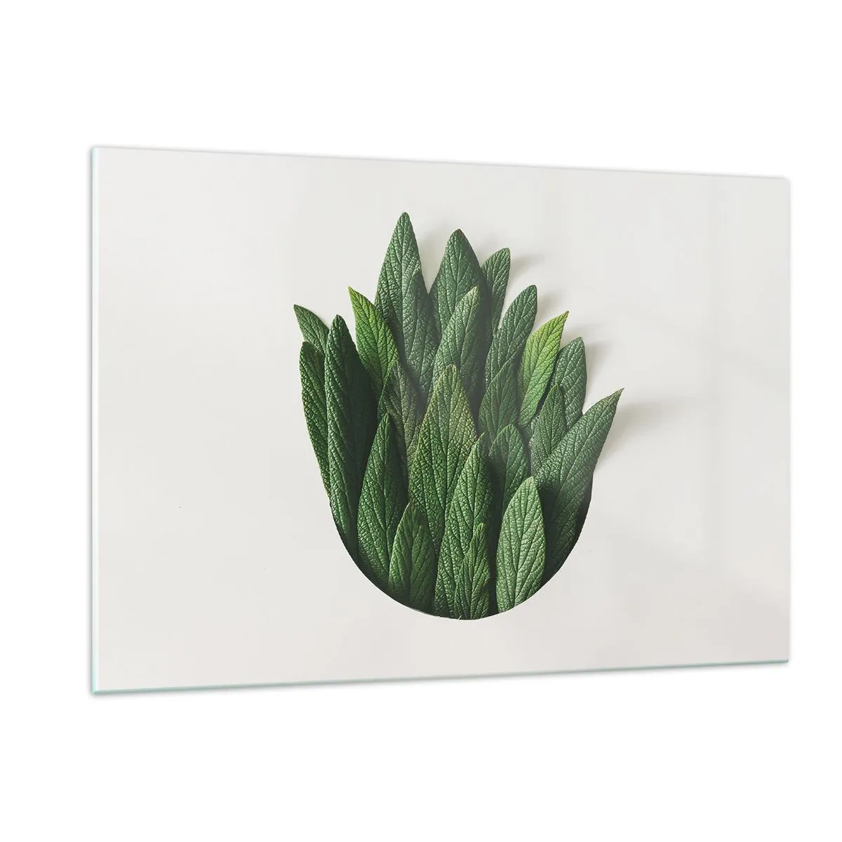 Billede på glas - Uhæmmet nysgerrighed - 120x80 cm