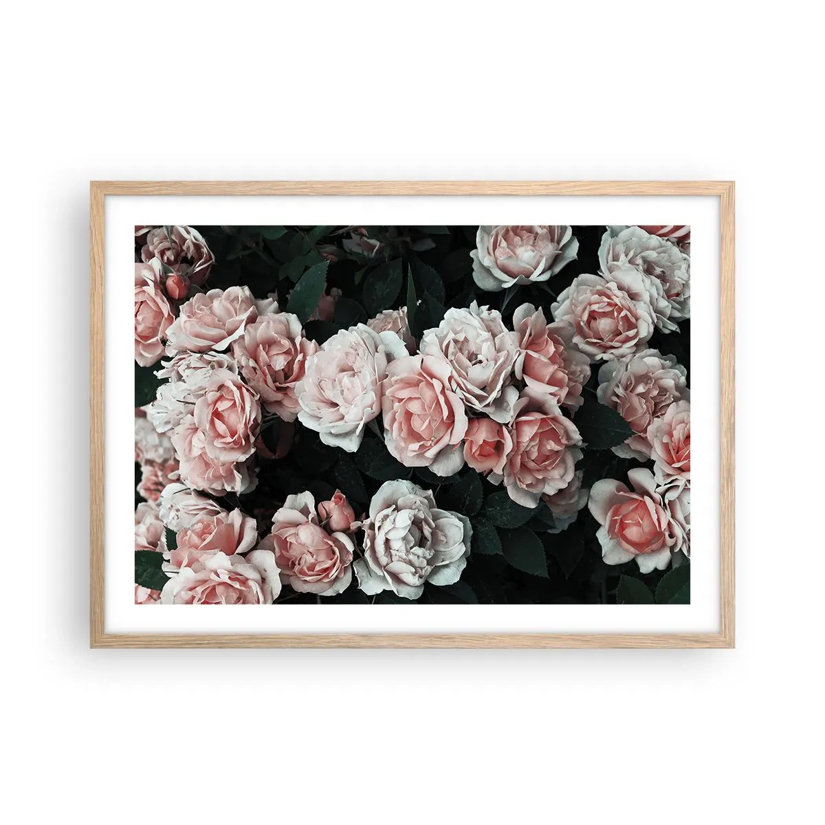 Plakat i ramme af lyst egetræ - Lyserød ansamble - 70x50 cm
