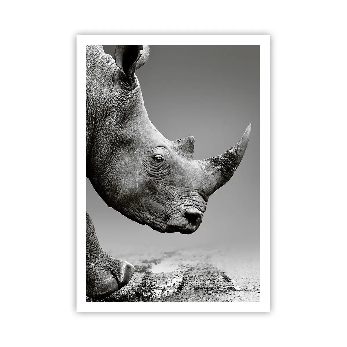 Plakat - En ustoppeli - 70x100 cm