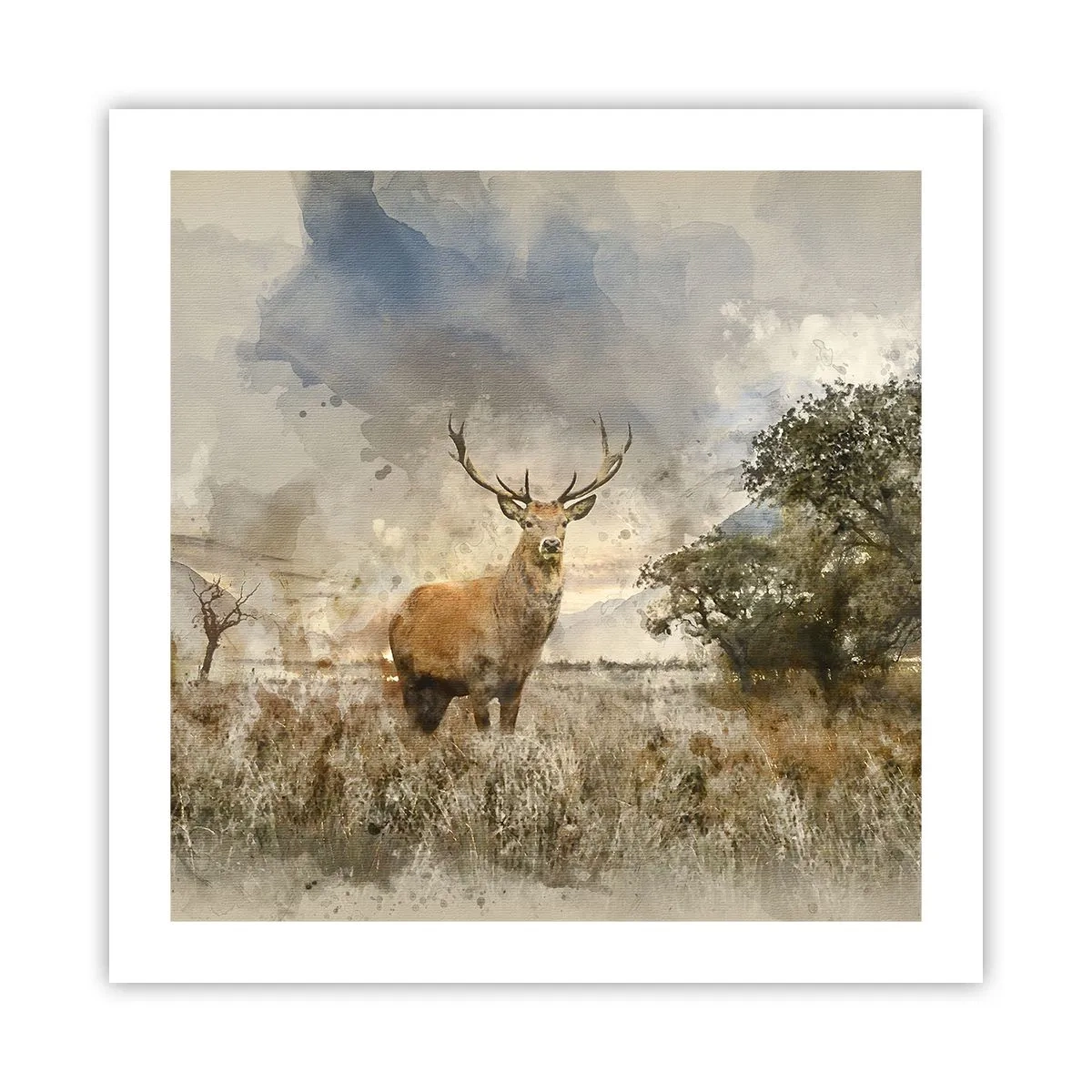 Plakat - Værdighed - styrke - værdighed - 50x50 cm