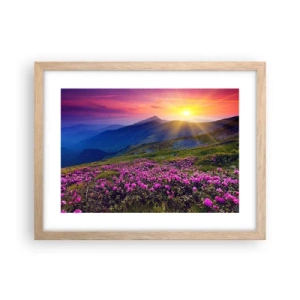 Plakat i ramme af lyst egetræ - ... Og rundt omkring dufter det af fyrretræer og krydderurter - 40x30 cm